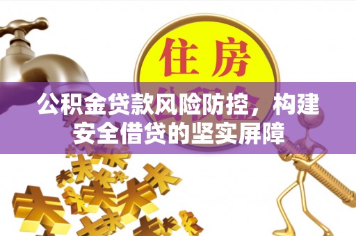 乐东公积金贷款风险防控，构建安全借贷的坚实屏障