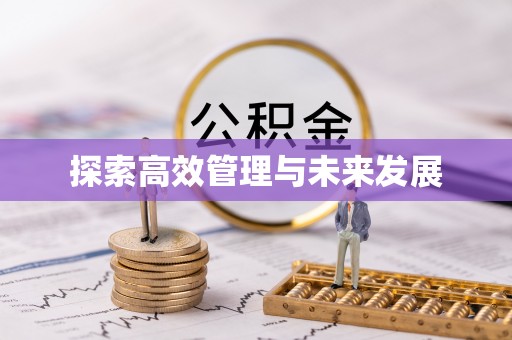 乐东探索高效管理与未来发展