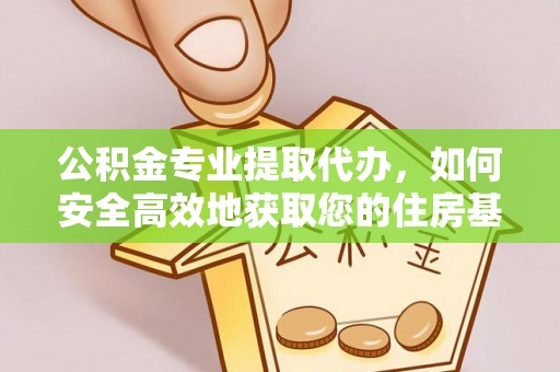 乐东公积金专业提取代办，如何安全高效地获取您的住房基金