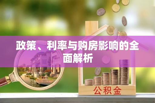 乐东政策、利率与购房影响的全面解析