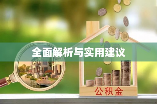 乐东全面解析与实用建议