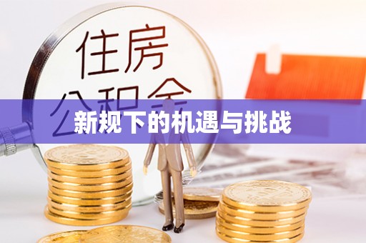 乐东新规下的机遇与挑战