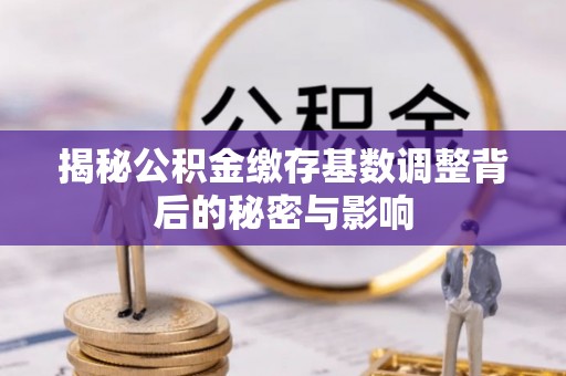 乐东揭秘公积金缴存基数调整背后的秘密与影响