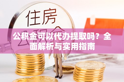 乐东公积金可以代办提取吗？全面解析与实用指南