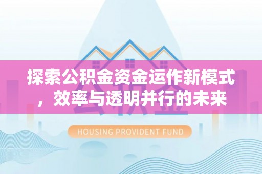 乐东探索公积金资金运作新模式，效率与透明并行的未来