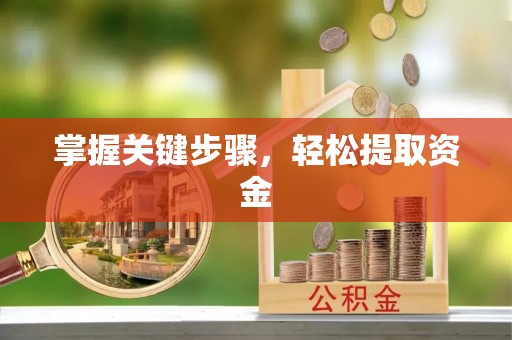 乐东掌握关键步骤，轻松提取资金
