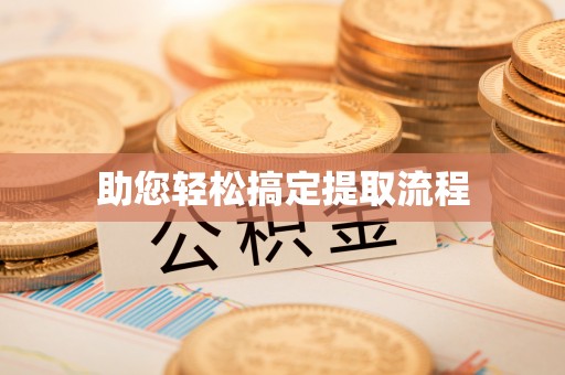 乐东助您轻松搞定提取流程