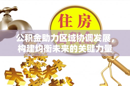乐东公积金助力区域协调发展，构建均衡未来的关键力量