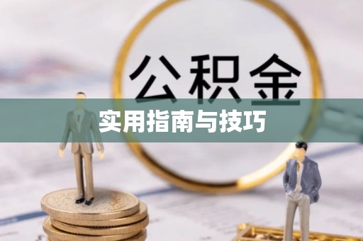 乐东实用指南与技巧