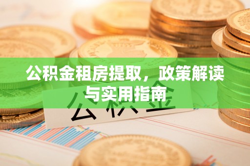 乐东公积金租房提取，政策解读与实用指南