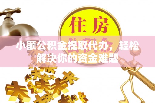 乐东小额公积金提取代办，轻松解决你的资金难题
