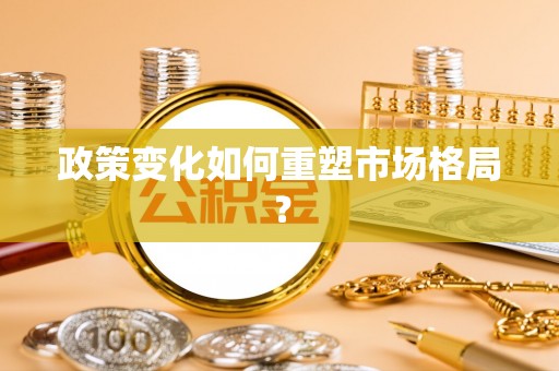 乐东政策变化如何重塑市场格局？