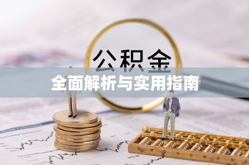 乐东全面解析与实用指南