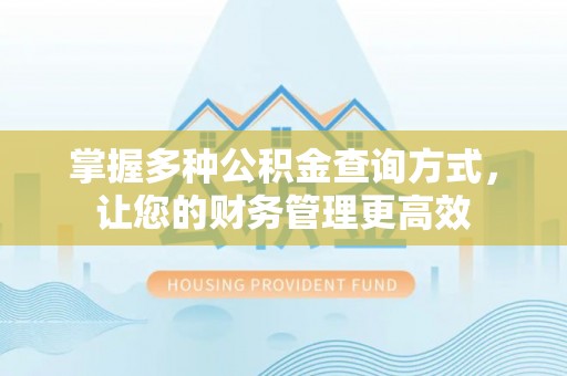 乐东掌握多种公积金查询方式，让您的财务管理更高效