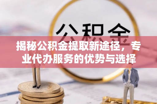 乐东揭秘公积金提取新途径，专业代办服务的优势与选择
