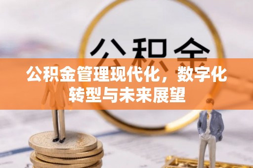 乐东公积金管理现代化，数字化转型与未来展望
