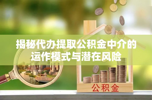 乐东揭秘代办提取公积金中介的运作模式与潜在风险