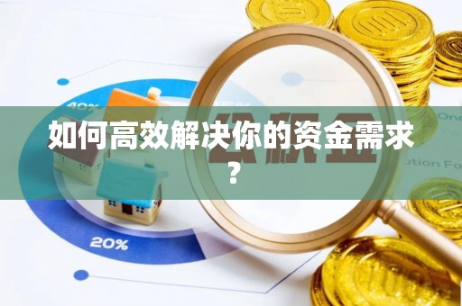 乐东如何高效解决你的资金需求？
