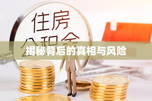 乐东揭秘背后的真相与风险