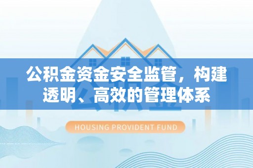 乐东公积金资金安全监管，构建透明、高效的管理体系