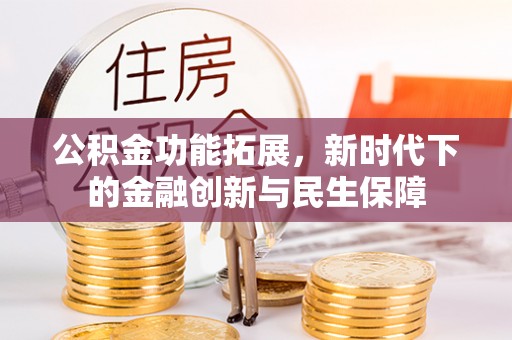 乐东公积金功能拓展，新时代下的金融创新与民生保障