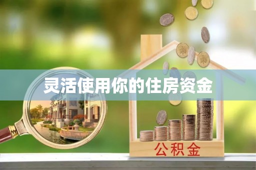 乐东灵活使用你的住房资金