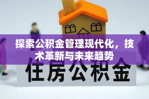 乐东探索公积金管理现代化，技术革新与未来趋势