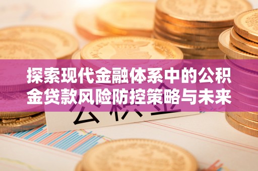 乐东探索现代金融体系中的公积金贷款风险防控策略与未来发展趋势
