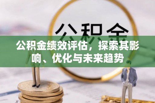 乐东公积金绩效评估，探索其影响、优化与未来趋势