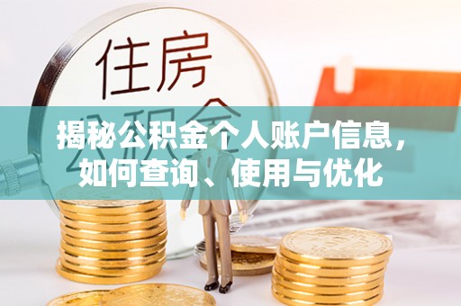 乐东揭秘公积金个人账户信息，如何查询、使用与优化