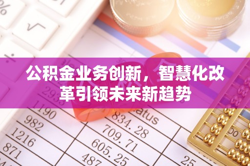 乐东公积金业务创新，智慧化改革引领未来新趋势