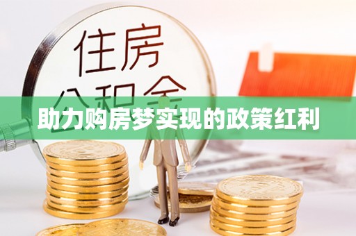 乐东助力购房梦实现的政策红利