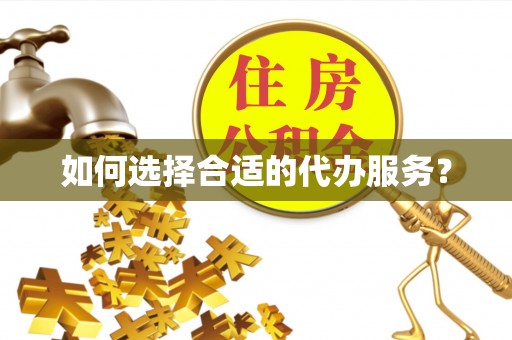 乐东如何选择合适的代办服务？