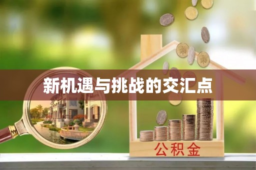 乐东新机遇与挑战的交汇点