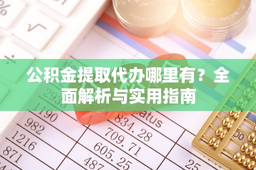 乐东公积金提取代办哪里有？全面解析与实用指南