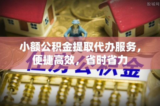 乐东小额公积金提取代办服务，便捷高效，省时省力