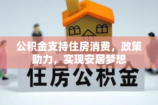 乐东公积金支持住房消费，政策助力，实现安居梦想