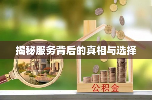 乐东揭秘服务背后的真相与选择