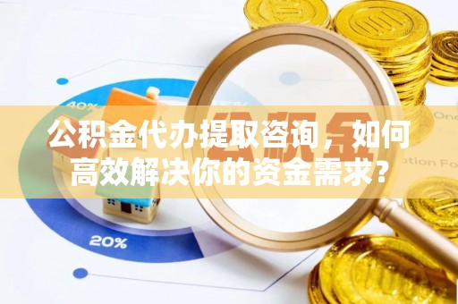 乐东公积金代办提取咨询，如何高效解决你的资金需求？
