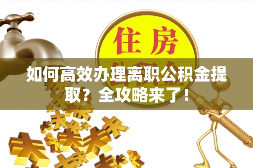 乐东如何高效办理离职公积金提取？全攻略来了！