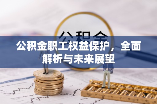 乐东公积金职工权益保护，全面解析与未来展望