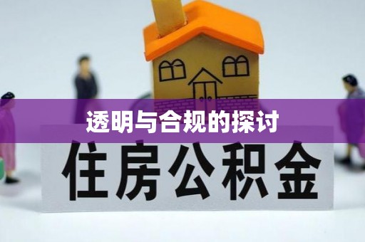 乐东透明与合规的探讨