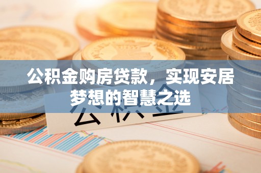 乐东公积金购房贷款，实现安居梦想的智慧之选