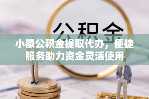 乐东小额公积金提取代办，便捷服务助力资金灵活使用