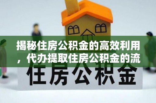 乐东揭秘住房公积金的高效利用，代办提取住房公积金的流程与技巧