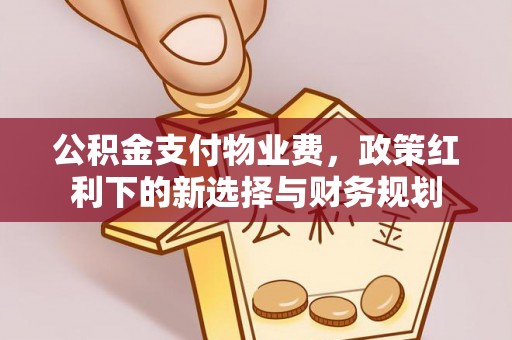 乐东公积金支付物业费，政策红利下的新选择与财务规划