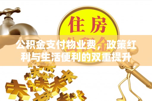 乐东公积金支付物业费，政策红利与生活便利的双重提升