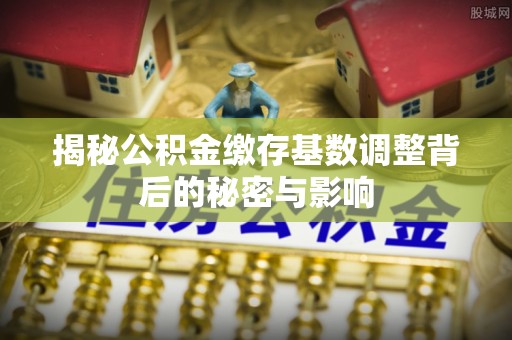 乐东揭秘公积金缴存基数调整背后的秘密与影响