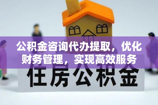 乐东公积金咨询代办提取，优化财务管理，实现高效服务