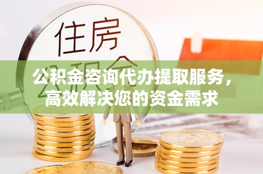 乐东公积金咨询代办提取服务，高效解决您的资金需求